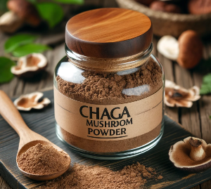 차가버섯 분말 효능 과 먹는 방법: 건강을 위한 필수 정보