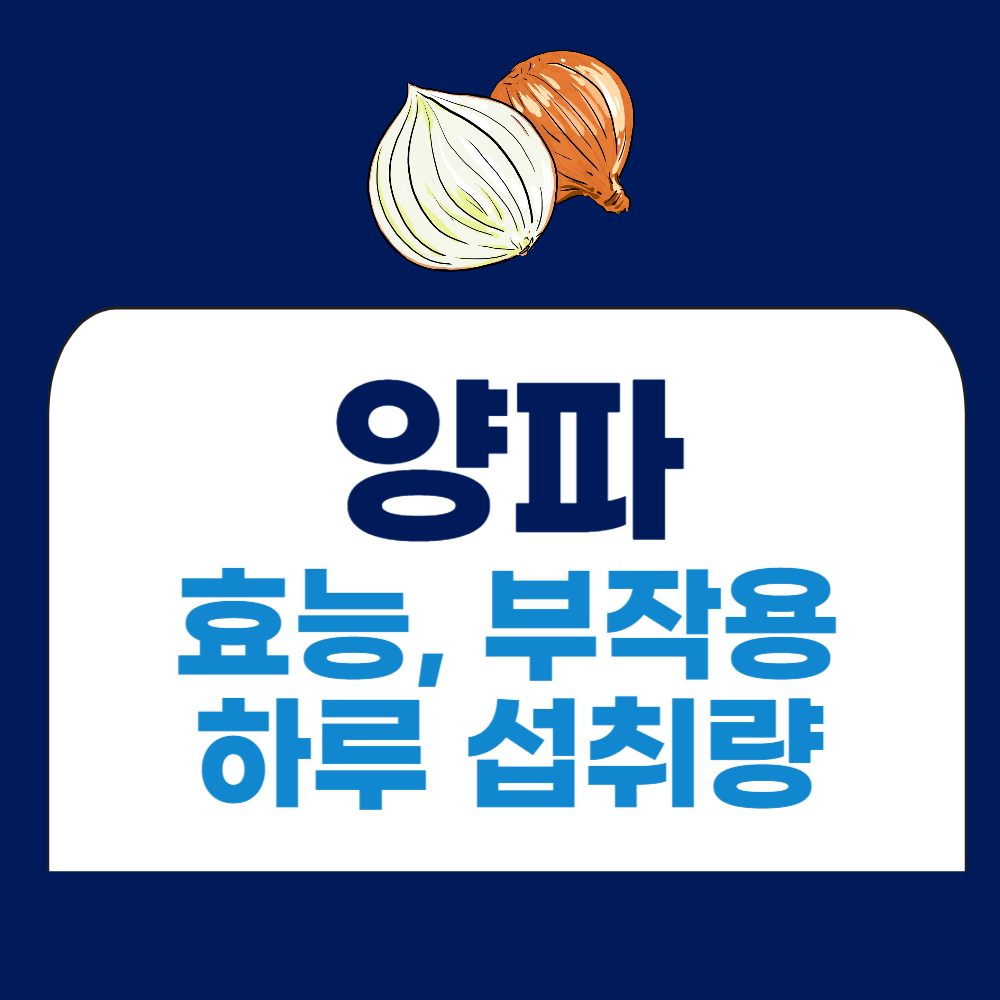 양파 효능 부작용, 양파 하루 섭취량 알아보기