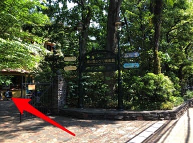 공원에 나무들이 많이 있고 빨간색 화살표가 표시되어 있는 사진