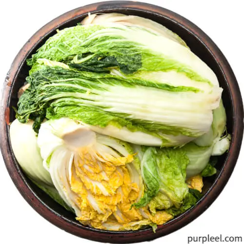 괴산절임배추20kg