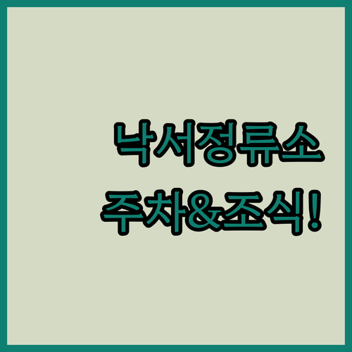 낙서정류소 근처 주차장 이용 팁과 조..