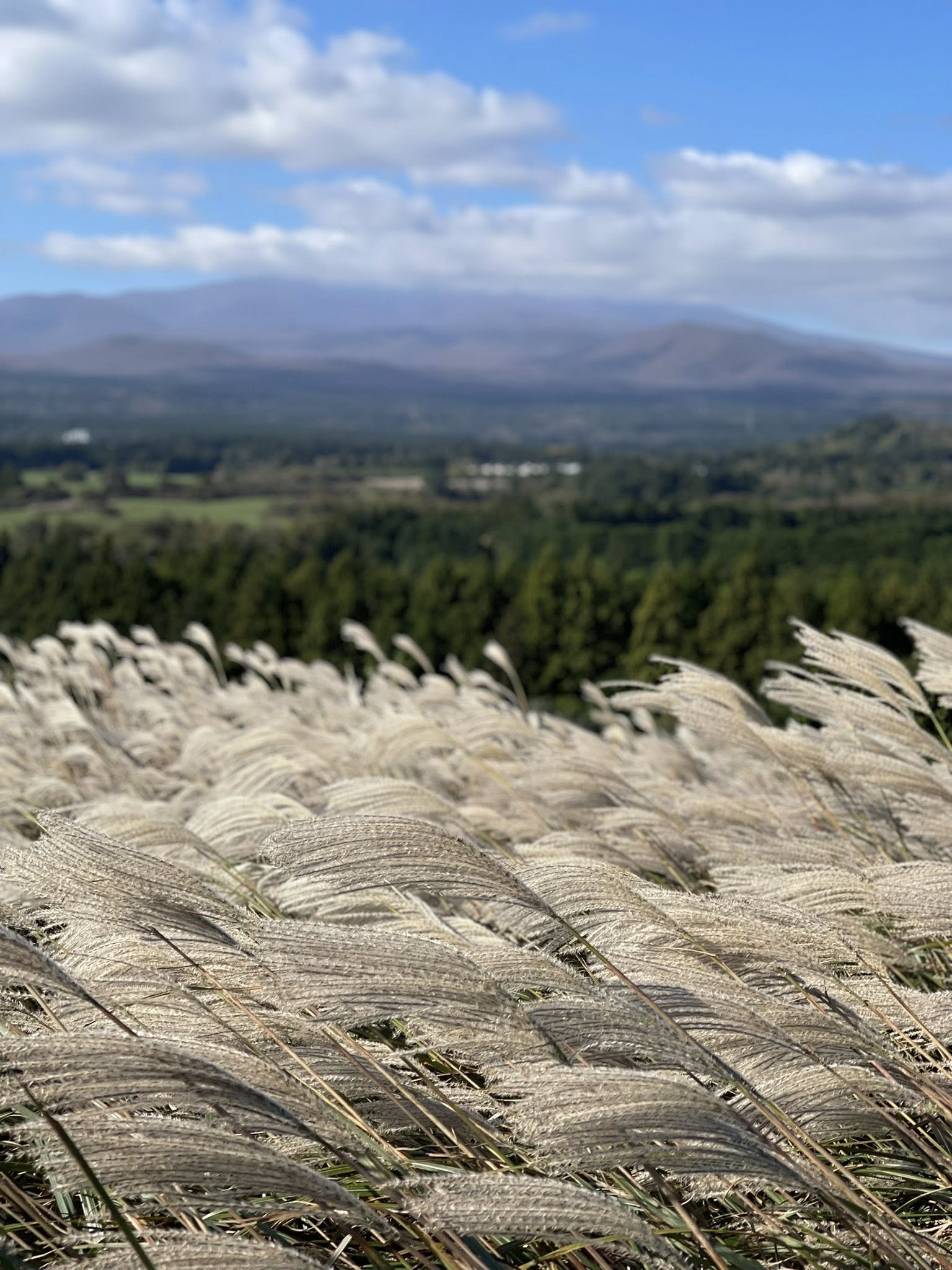 제주 또는 강릉의 바다 풍경 갤러리 이미지