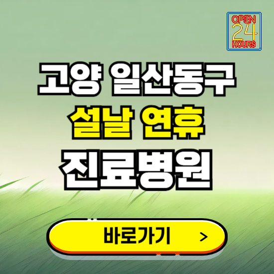 고양시 일산동구 설날 연휴 진료병원 찾기 ❘ 24시 응급 야간 심야 문여는 병원