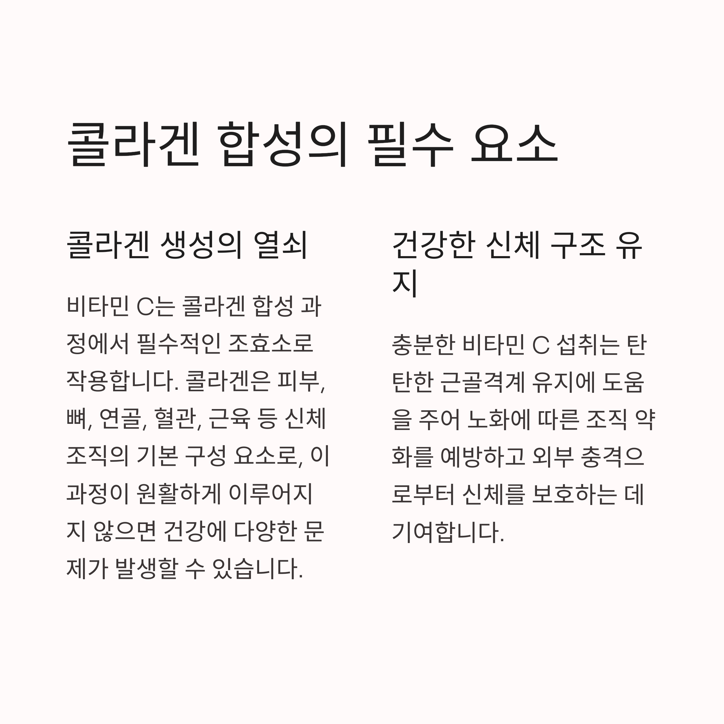 몸에 꼭 필요한 비타민 C: 항산화와 면역력