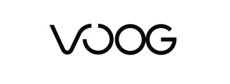 VOO 주가와 VOOG 주가1