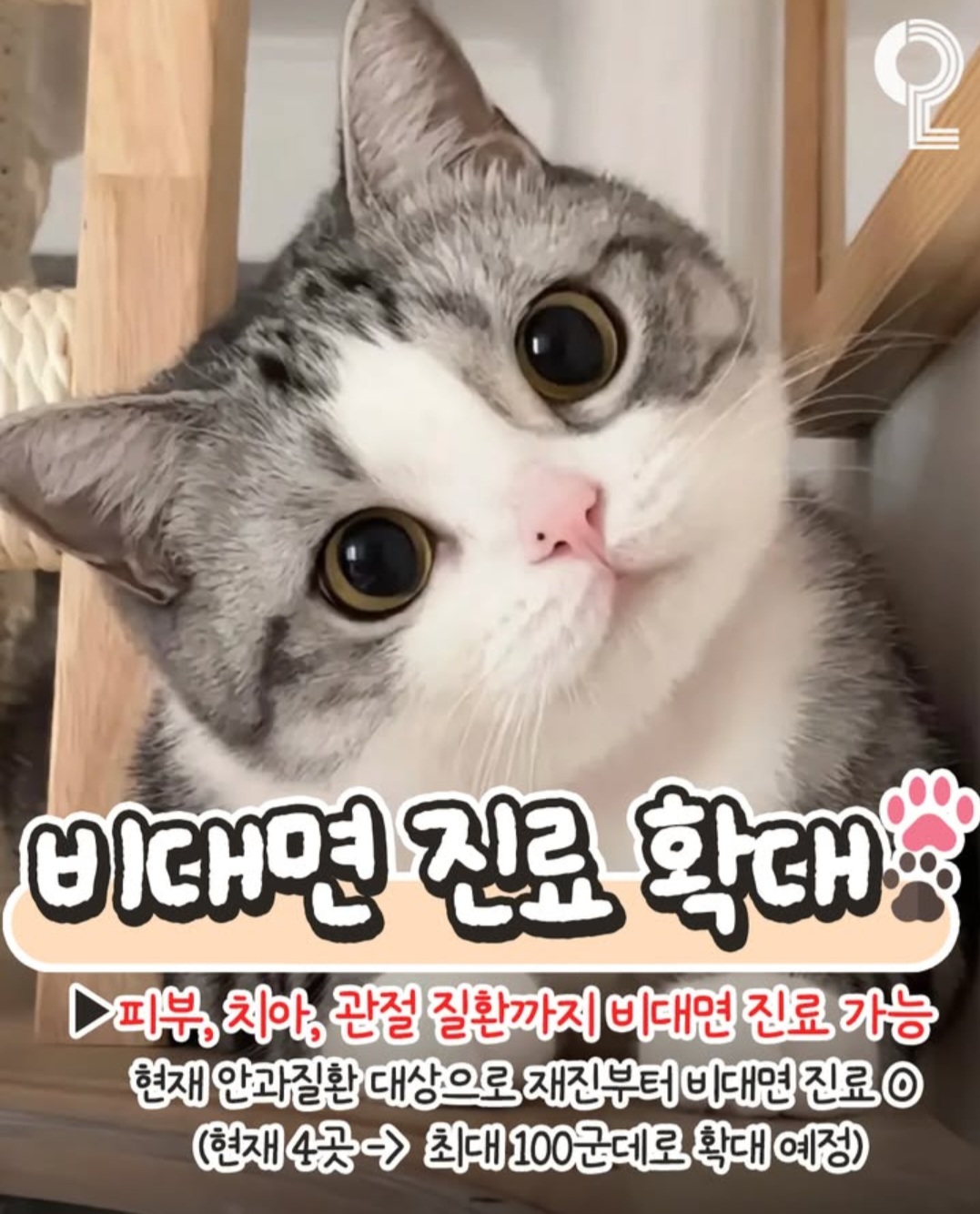 2025 바뀐 반려동물법