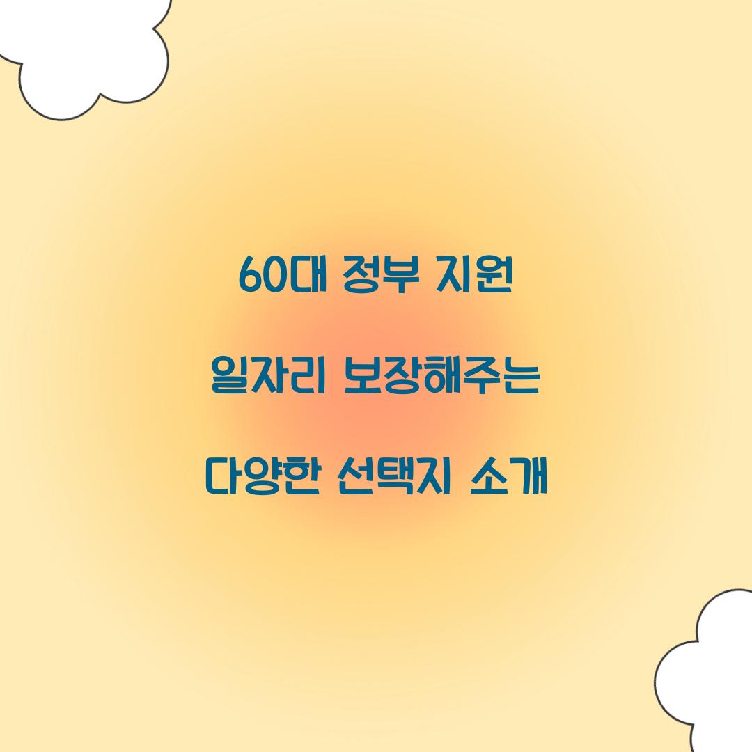 60대 정부 지원 일자리