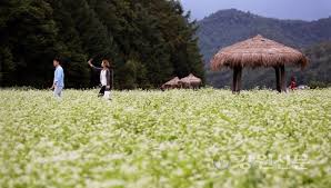 9월 국내여행지 베스트10 추천