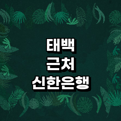 태백시 신한은행