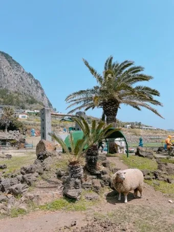 제주 아이와 함께 가기 좋은 체험형 여행지 추천_20