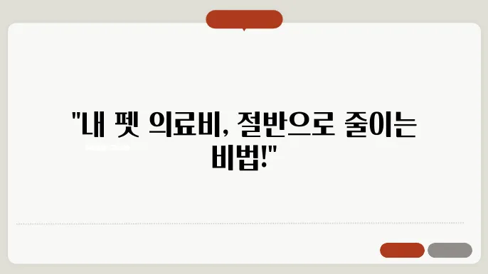 인기 펫보험 상품 비교 분석