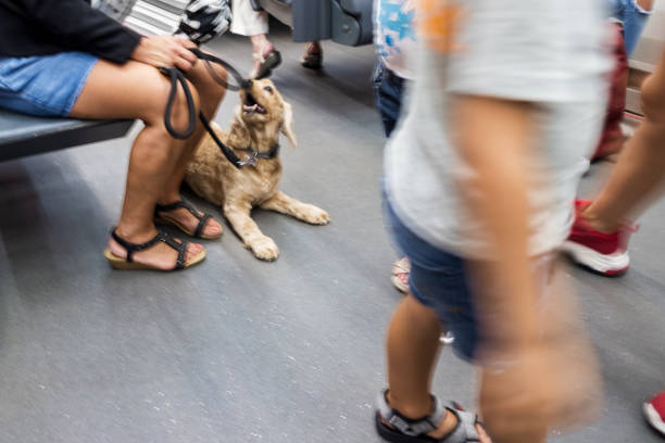 기차 여행 시 주의해야 할 점