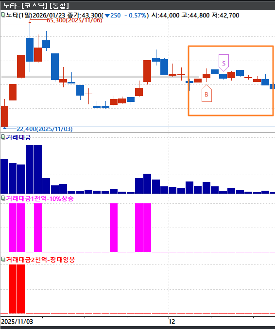 노타 일봉 차트