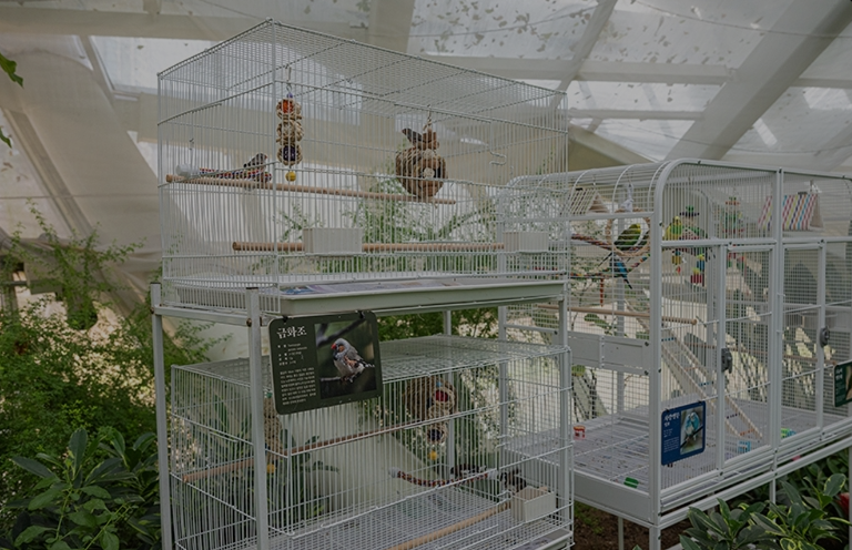 부천식물원 수피아