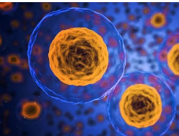 겨울철 타이어 적정 공기압