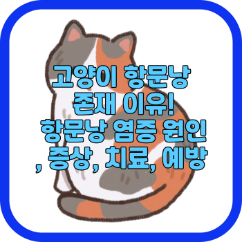 고양이 항문낭 존재 이유! 항문낭 염증 원인&#44; 증상&#44; 치료&#44; 예방