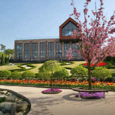 용인 자작나무숲 - 애견동반 입장료 펜션 예약