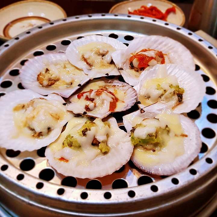 거제 거제도 맛집 추천 생방송투데이 청정 남해바다를 겹겹이 새조개 샤브샤브 코끼리조개 회 4단 해물찜 오늘방송 자족식당