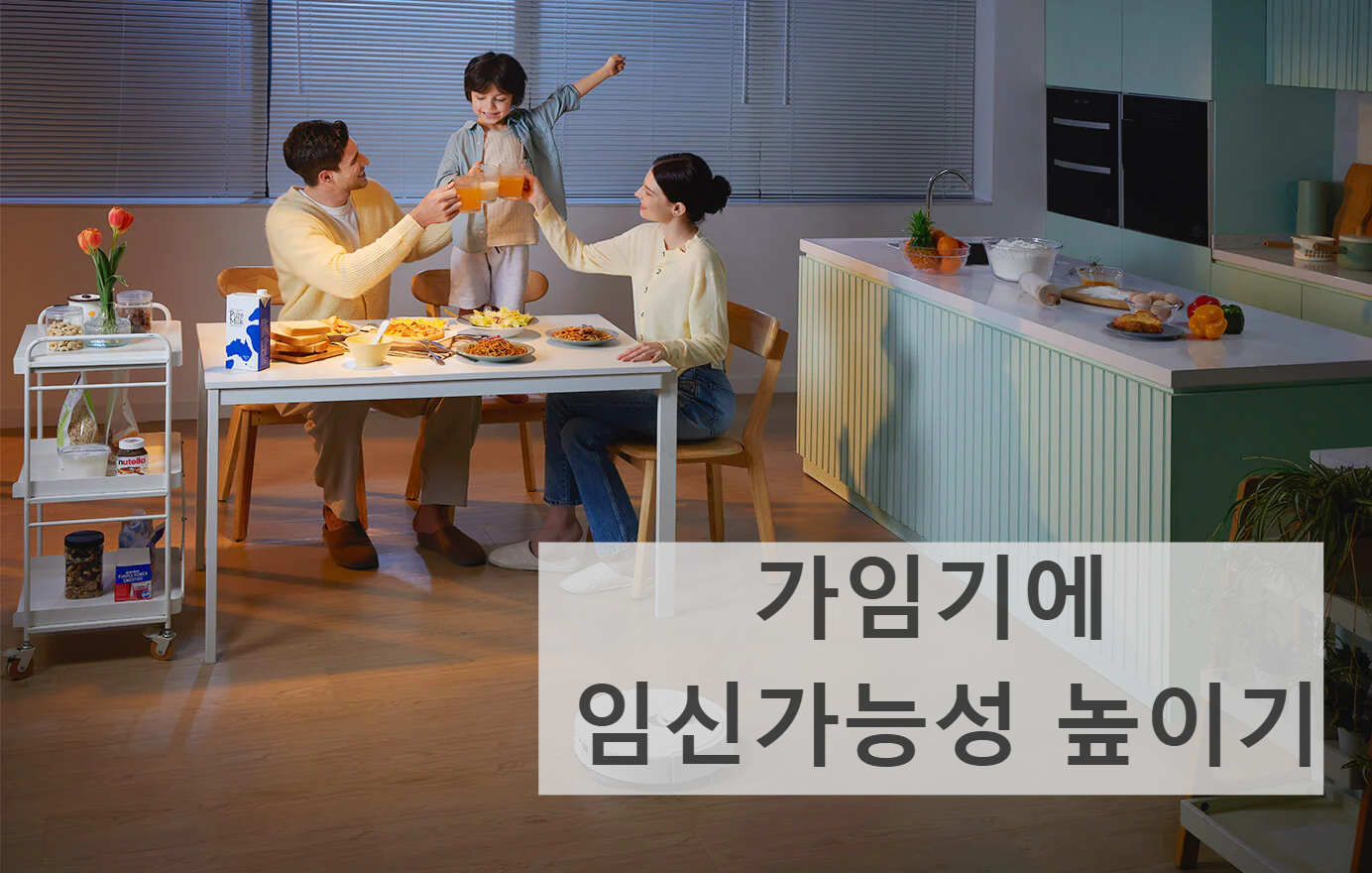 임신 가임기 신혼부부 출산 산부인과 배란일