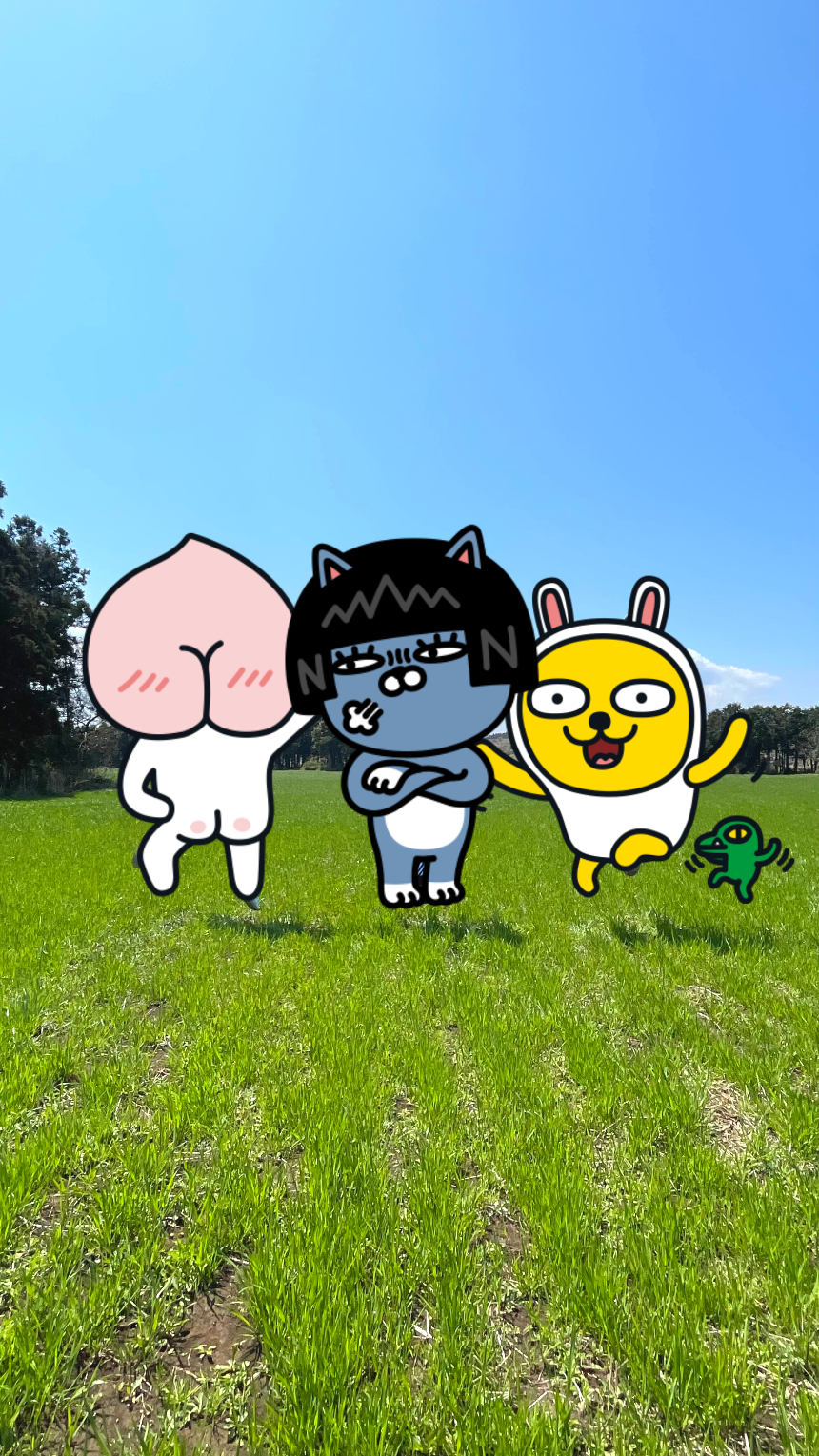 비밀의 숲 목초지 점프샷