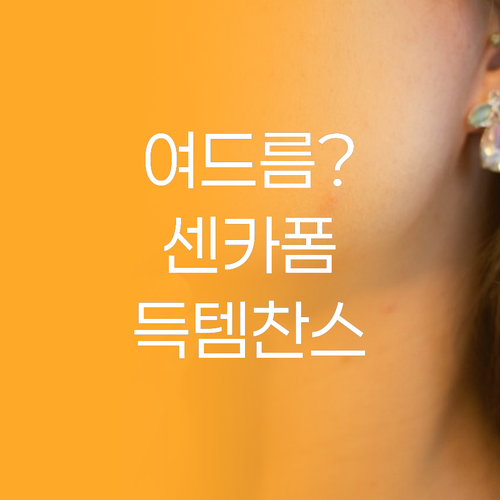 여드름 피부 고민 끝 센카 아크네 클