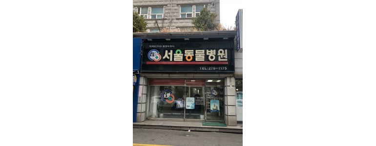 목포시 동물병원