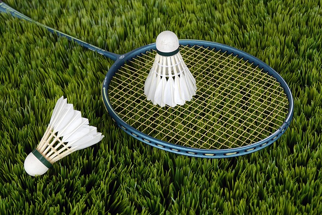 안세영 2025년 9월 경기 일정 총정리-BWF 월드투어&middot;중계 채널&middot;티켓 예매