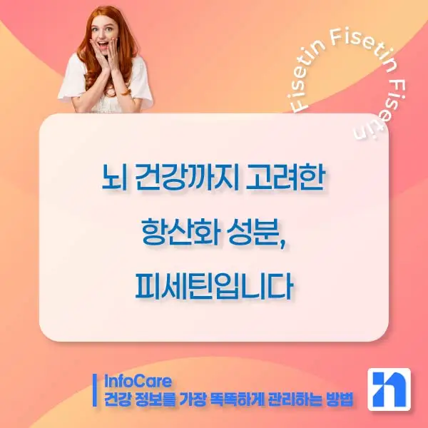 피세틴 효능 항산화 저속노화 노화방지 세놀리틱