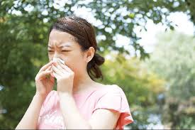  항히스타민제 부작용