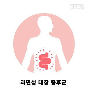 배에 가스가 자주 차는 이유