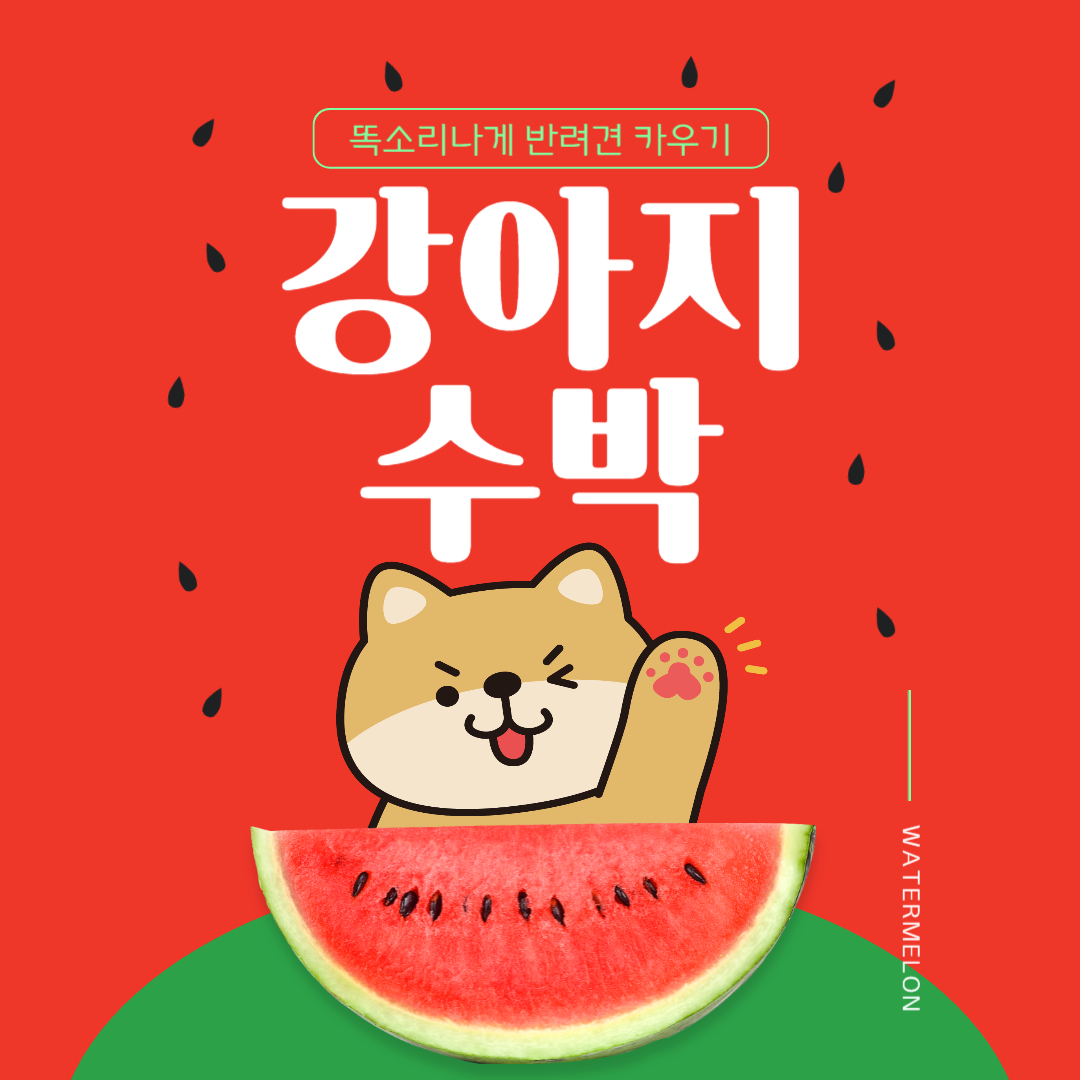 강아지 수박 효능 주의할 점 하루 적정급여량