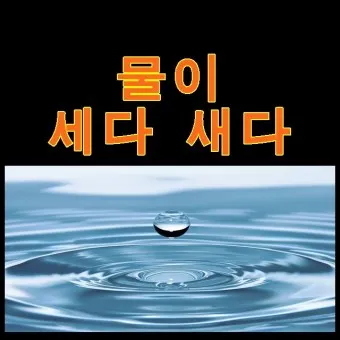 물이 세다 새다 맞춤법 맞는 표현_9