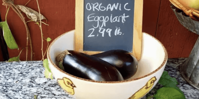 여름 가지요리 추천! 가지구이 덮밥 건강 효능, 제철 채소 가지의 놀라운 효과