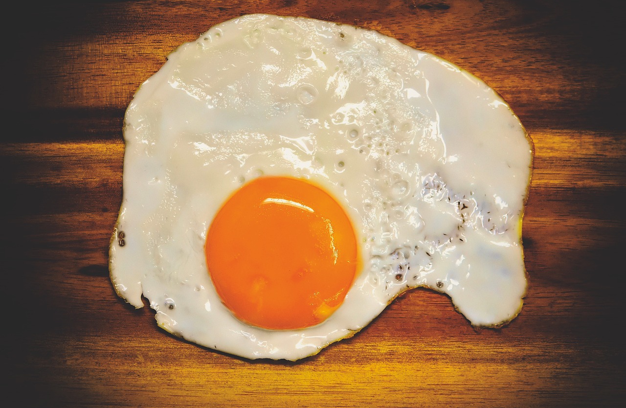 계란-후라이-사진