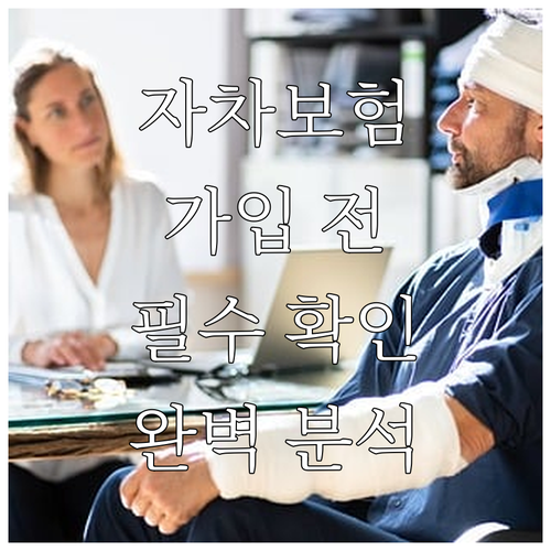 자동차보험 자차보험 가입 전 완벽 분