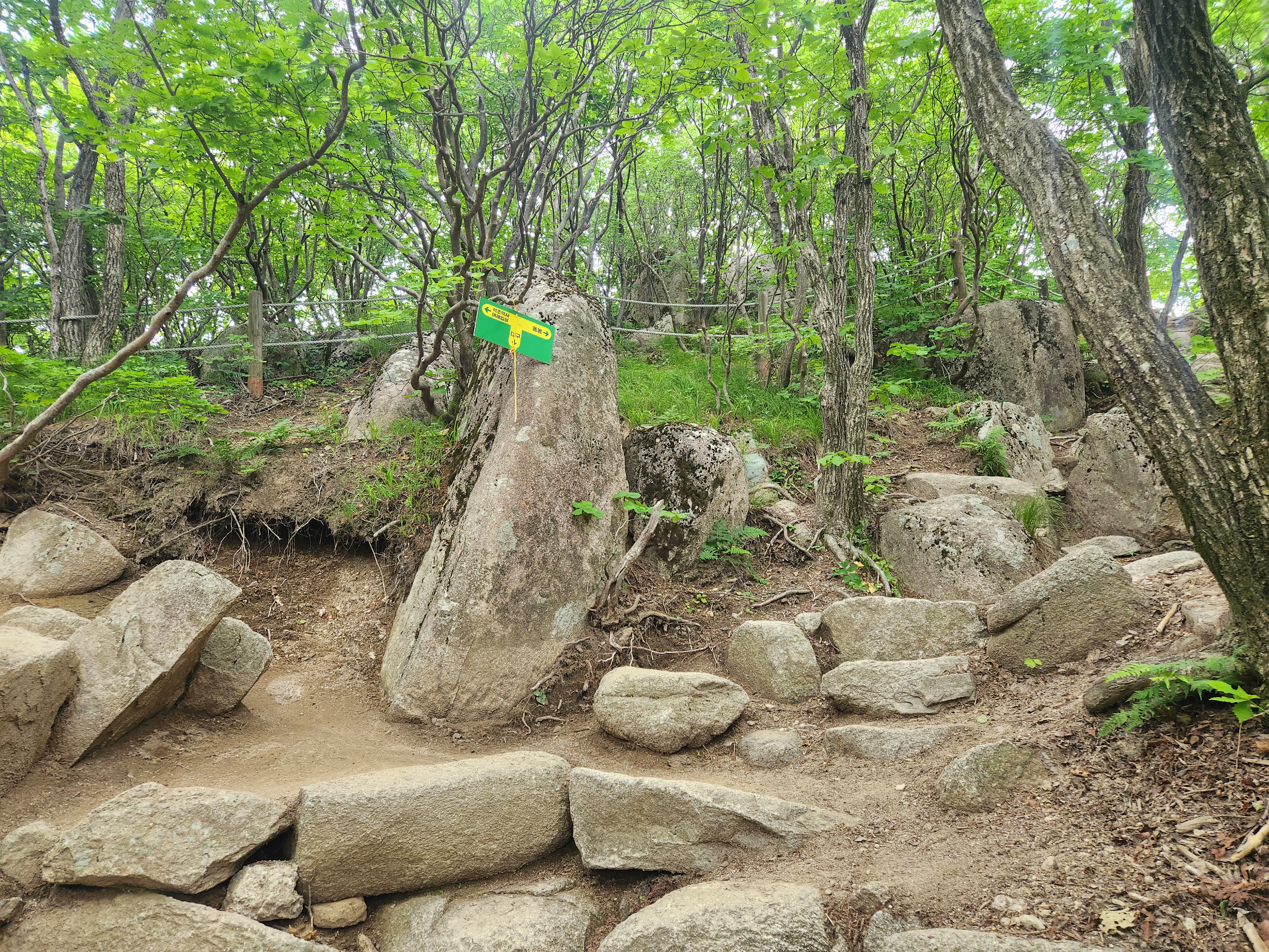 팔공산 수태골 등산 (40)