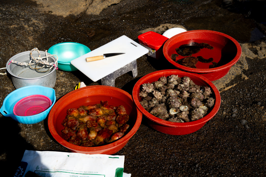 용머리 해안 해물 판매