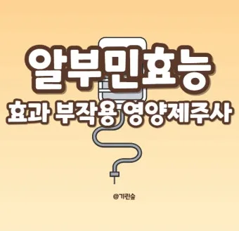 알부민의 효능_5