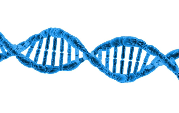 합성 생물학(Synthetic Biology)을 이용한 바이오의약품 개발