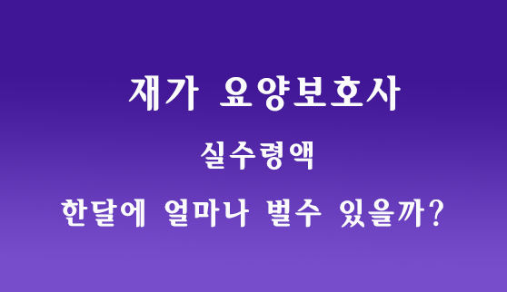 재가요양보호사 실수령액 쎔네일