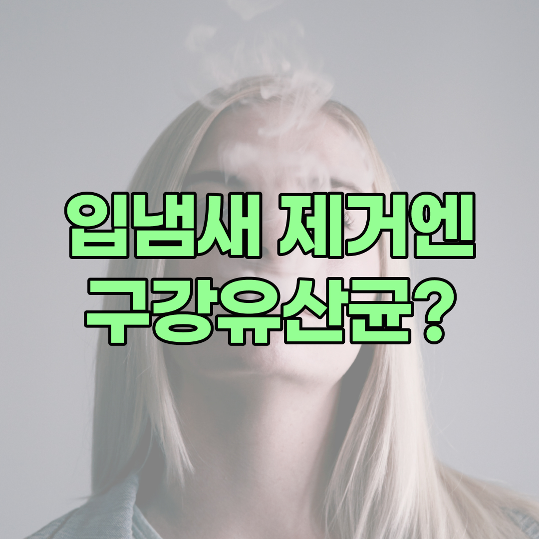 구강유산균 효과