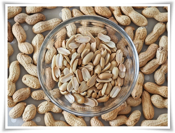 "9월, 땅콩 수확 시작하세요!" 수확 시기/수확/건조/활용법/건강 상 이점