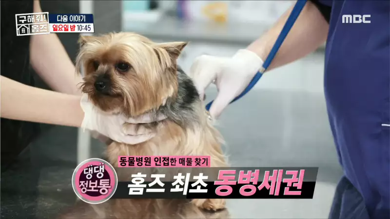 구해줘홈즈 1층집 바이브 동물병원 인접 남양주 다산동 전세 매매 매물 가격 및 구조 인테리어 리모델링 최종선택 강재준 양세찬 소개