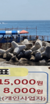 태종대 유람선 타는 곳, 시간표, 예약 방법