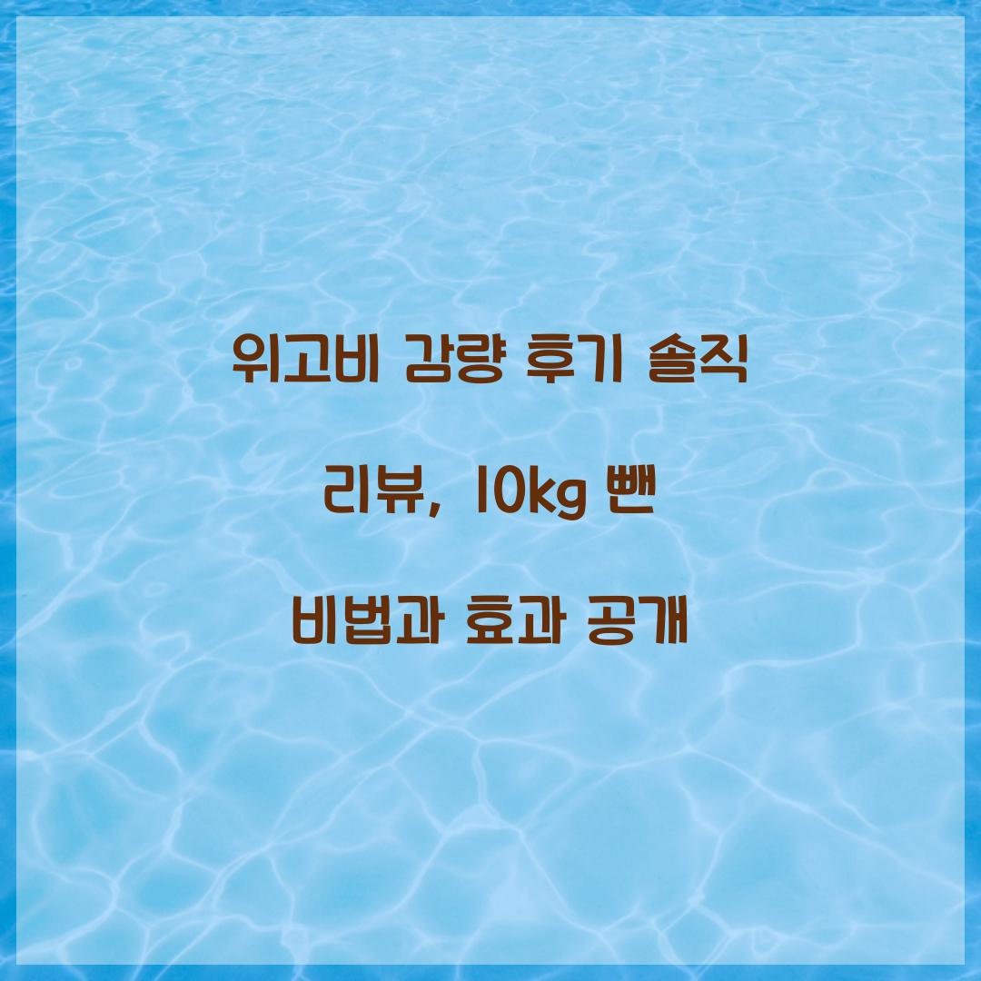 위고비 감량 후기 솔직 리뷰