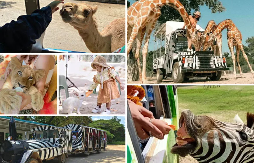 방콕 사파리월드 후기