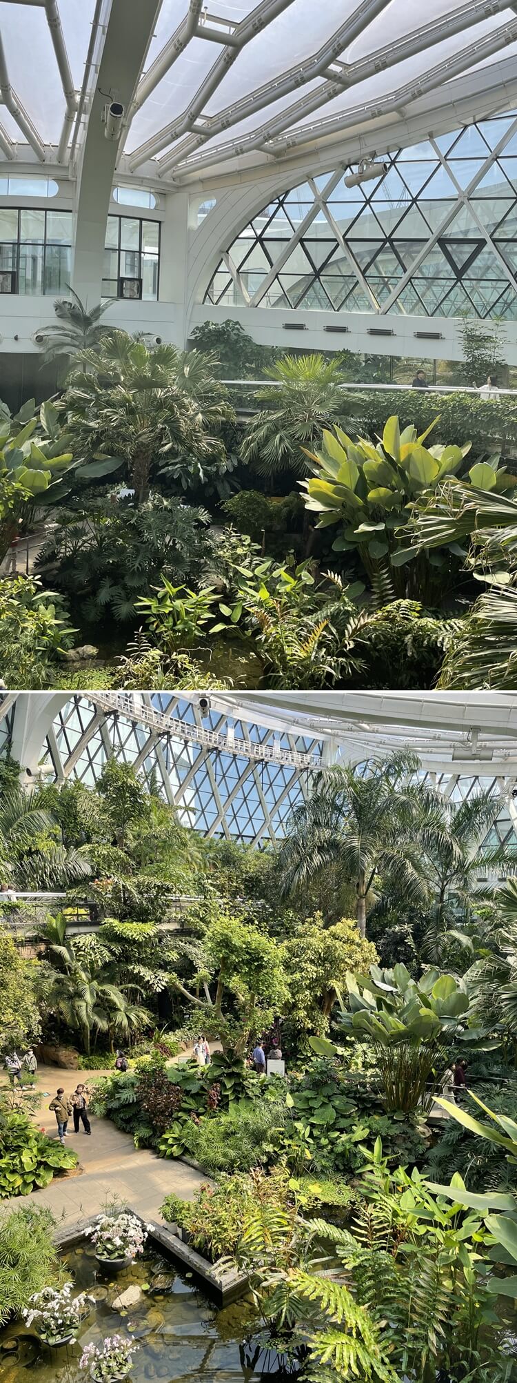 스카이 워크에서 바라본 아래 모습