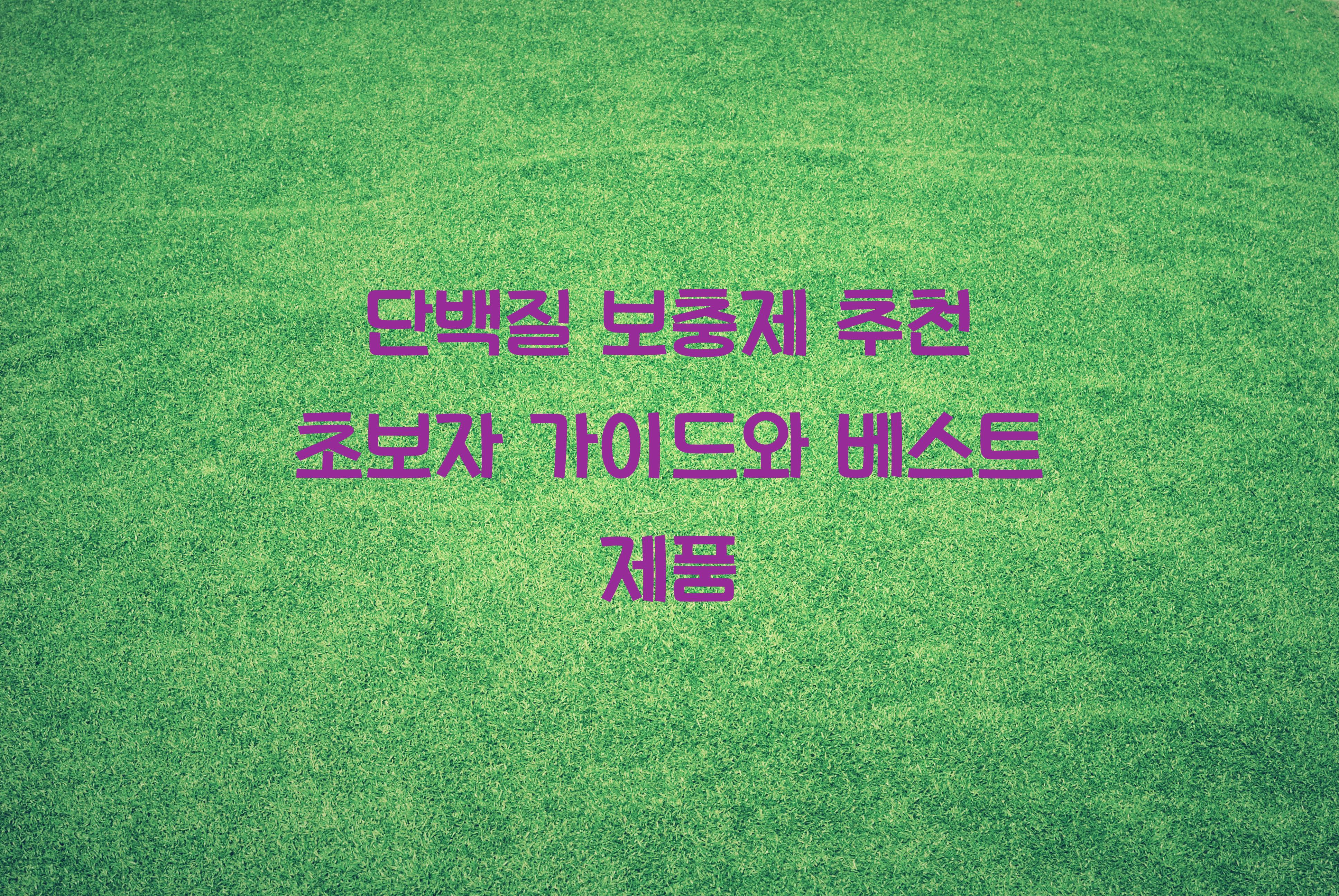 단백질 보충제 추천