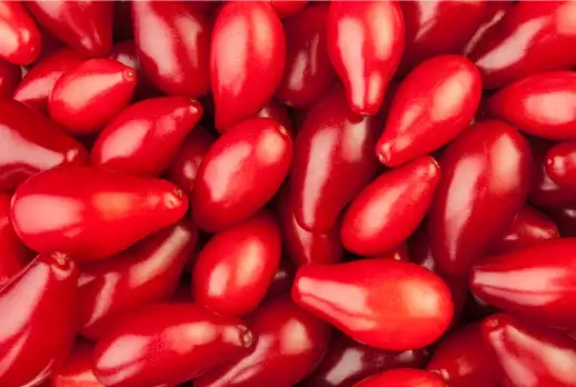 산수유 효능효과 먹는 방법과 부작용