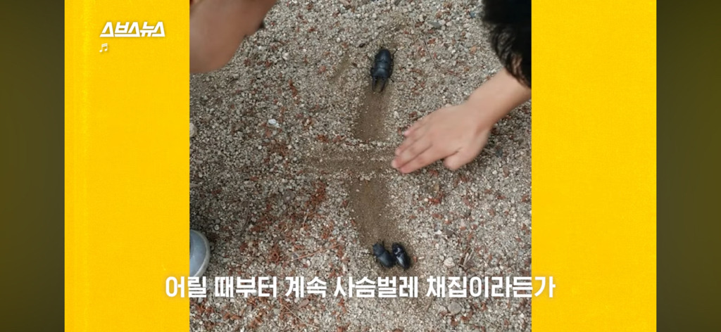 이지섭 중학생 파브르